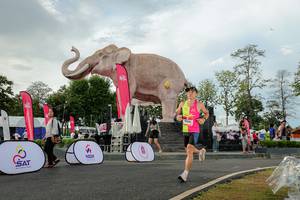 BIB: 
                            <button type="button" onclick="openModal(26528375)" class="btn btn-primary btn-sm float-right btn-popup" data-toggle="modal" data-target=".modal-high-quality">
                        <i class="fas fa-shopping-cart"></i> Add to Cart
                    </button>
                                            <button type="button" onclick="isThisMe(26528375, true)" class="btn btn-success btn-sm float-right btn-popup btn-isme hidden" data-toggle="tooltip" data-placement="bottom" title="นี่คือรูปของคุณใช่ไหม คลิกที่นี่เพื่อเอาเข้าอัลบั้ม">
                        <i class="fas fa-plus"></i> Add to album
                    </button>
                    <button type="button" onclick="isThisMe(26528375, false)" class="btn btn-warning btn-sm float-right btn-popup btn-isnotme hidden">
                        <i class="fas fa-ban"></i> Remove from album
                    </button>